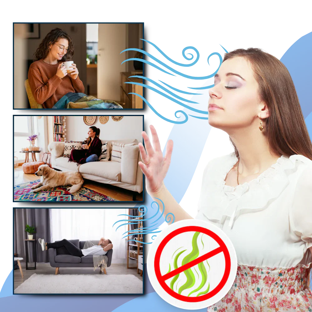UV Disinfectant Bulb with Remote Timer and Bed Bug Elimination