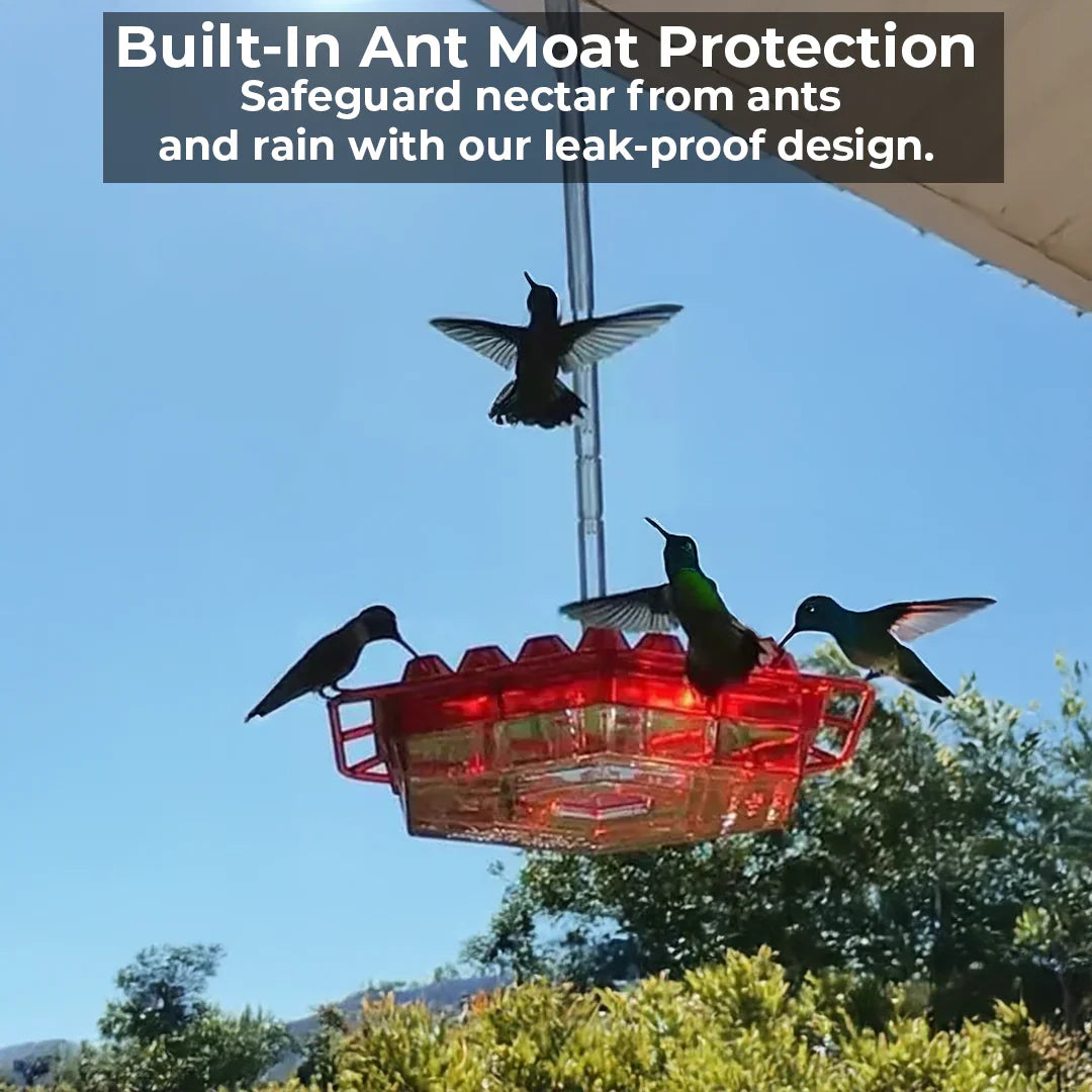 Hummingbird Feeder with Ant Moat and Bee-Resistant Ports, 12oz Capacity