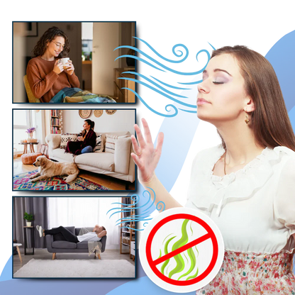 UV Disinfectant Bulb with Remote Timer and Bed Bug Elimination