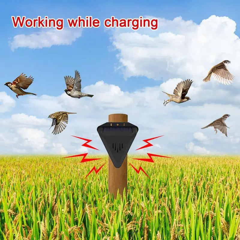 Solar Bird Repeller with 13 Predator Sounds and Automatic Dawn to Dusk Operation