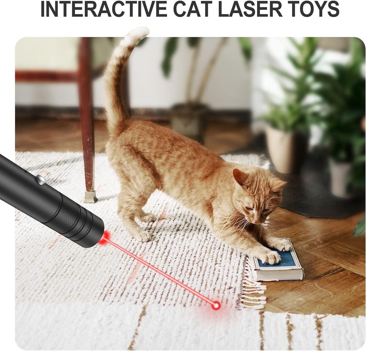 Green Laser Pointer with Rotating Star Cap and 2000 Foot Night Range