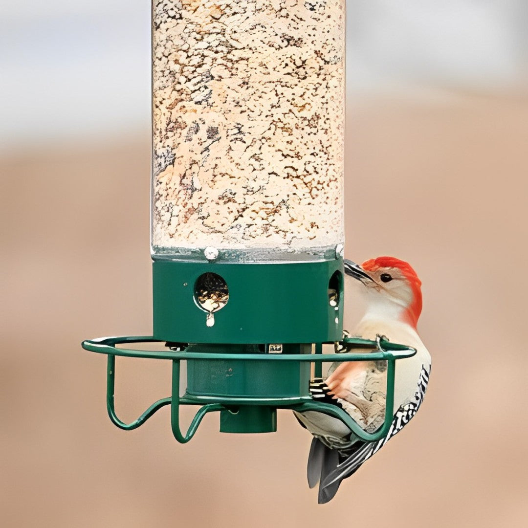Bird Feeder with Weight-Activated Spinning Perch and Four Feeding Ports