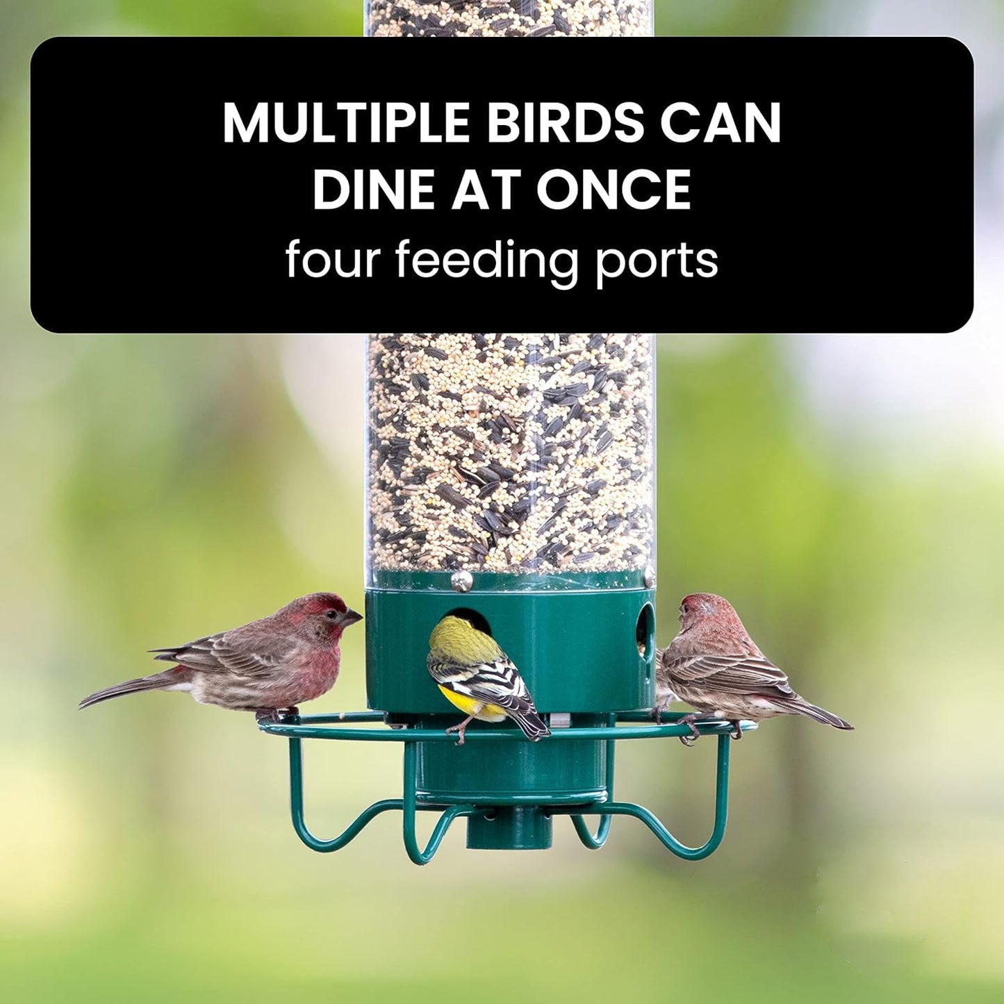 Bird Feeder with Weight-Activated Spinning Perch and Four Feeding Ports