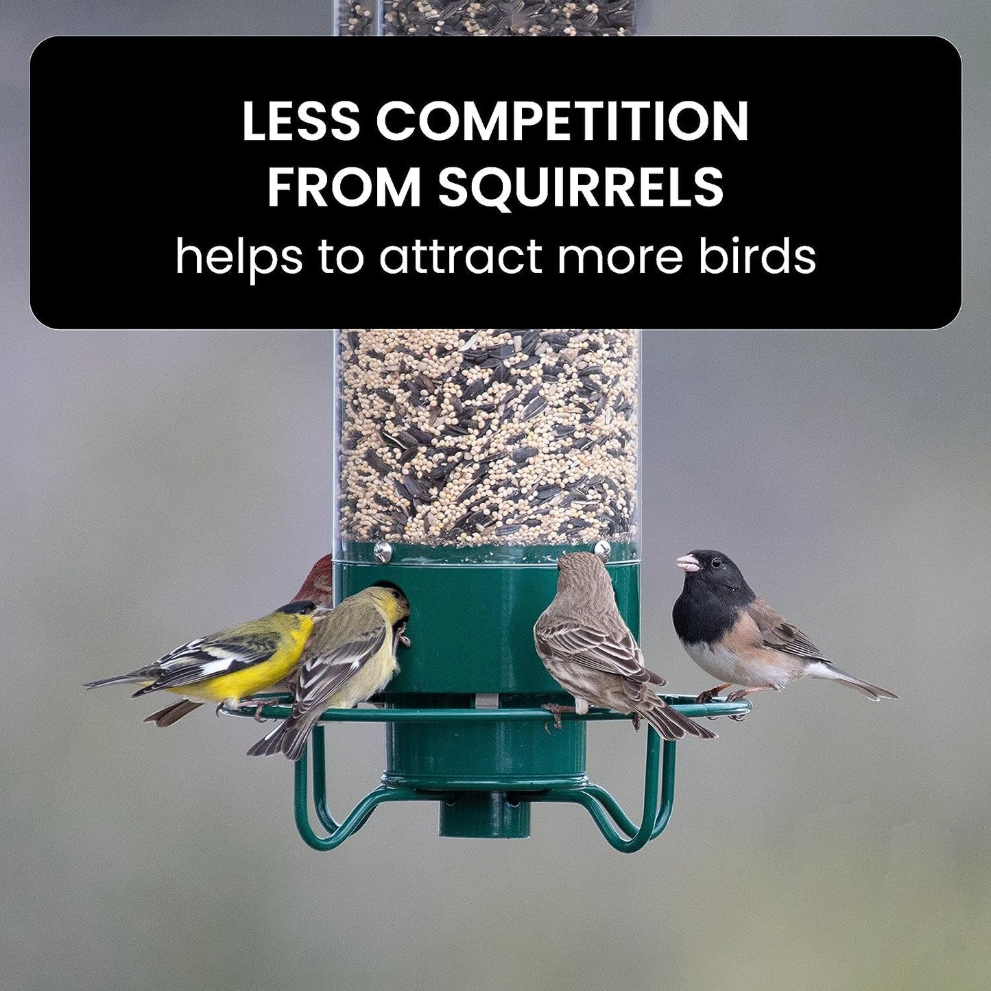 Bird Feeder with Weight-Activated Spinning Perch and Four Feeding Ports