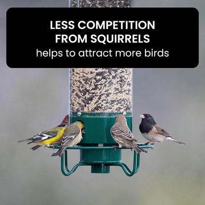 Bird Feeder with Weight-Activated Spinning Perch and Four Feeding Ports