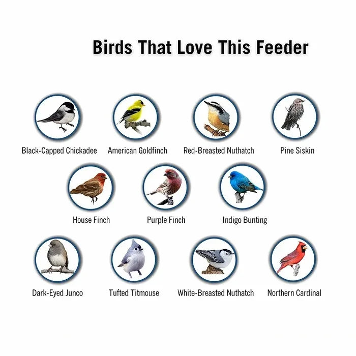 Bird Feeder with Weight-Activated Spinning Perch and Four Feeding Ports