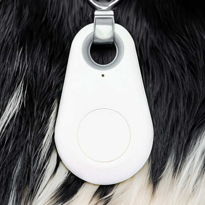 Wireless Pet Tracker with Safe Zone Alerts and 33ft Range, Waterproof