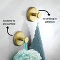 Suction Hook with 15-Pound Weight Capacity for Smooth Surfaces
