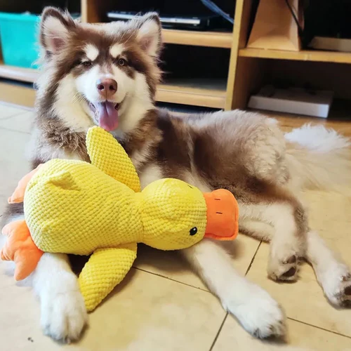 Quacking Duck Dog Toy with Chew Resistant Polyester and Machine Washable Design