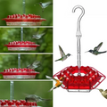 Hummingbird Feeder with Ant Moat and Bee-Resistant Ports, 12oz Capacity
