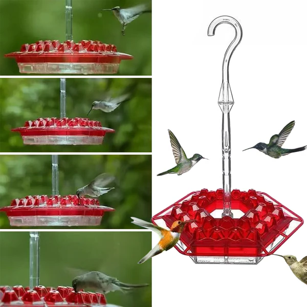 Hummingbird Feeder with Ant Moat and Bee-Resistant Ports, 12oz Capacity